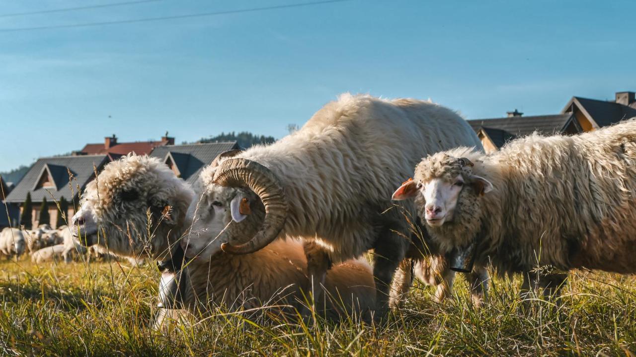 Domki U Adasia Krosnica  Exterior foto