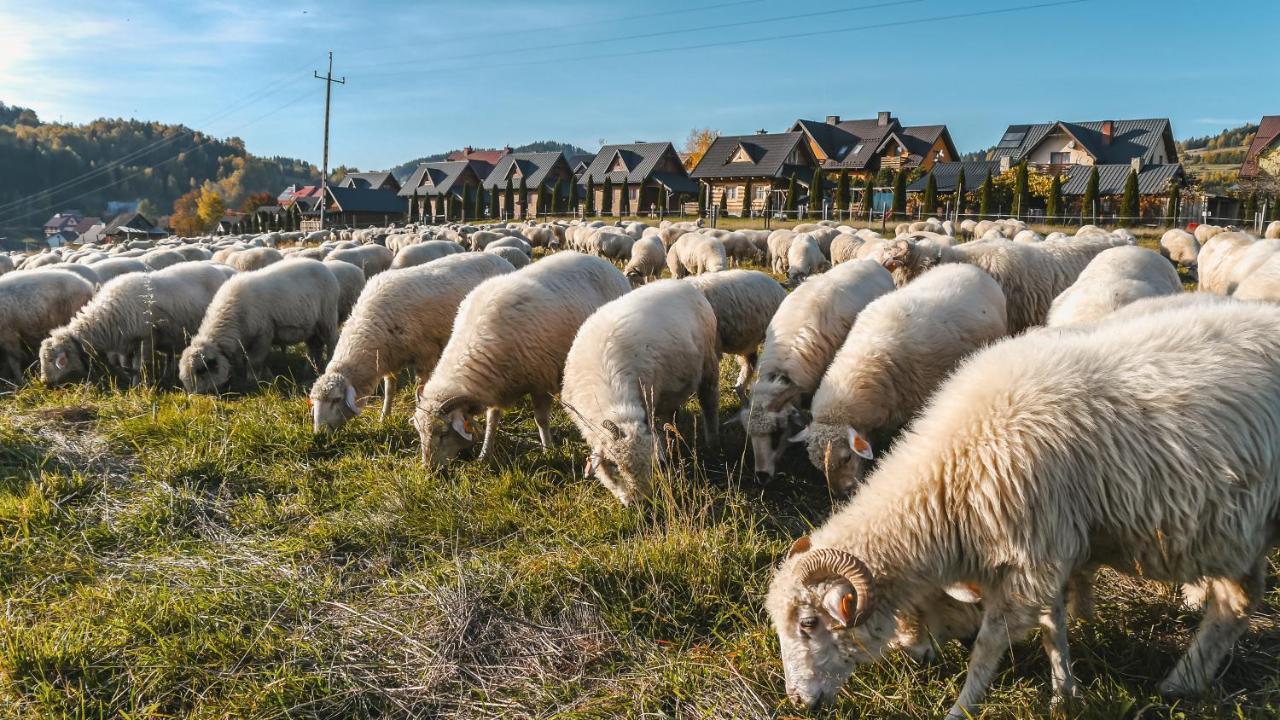 Domki U Adasia Krosnica  Exterior foto